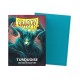 100 Sleeves Standard Matte - Dragon Shield - Turquoise