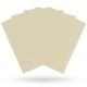 100 Sleeves Standard Matte - Dragon Shield - Ivory White