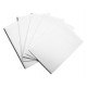 100 Sleeves Standard - Dragon Shield - White
